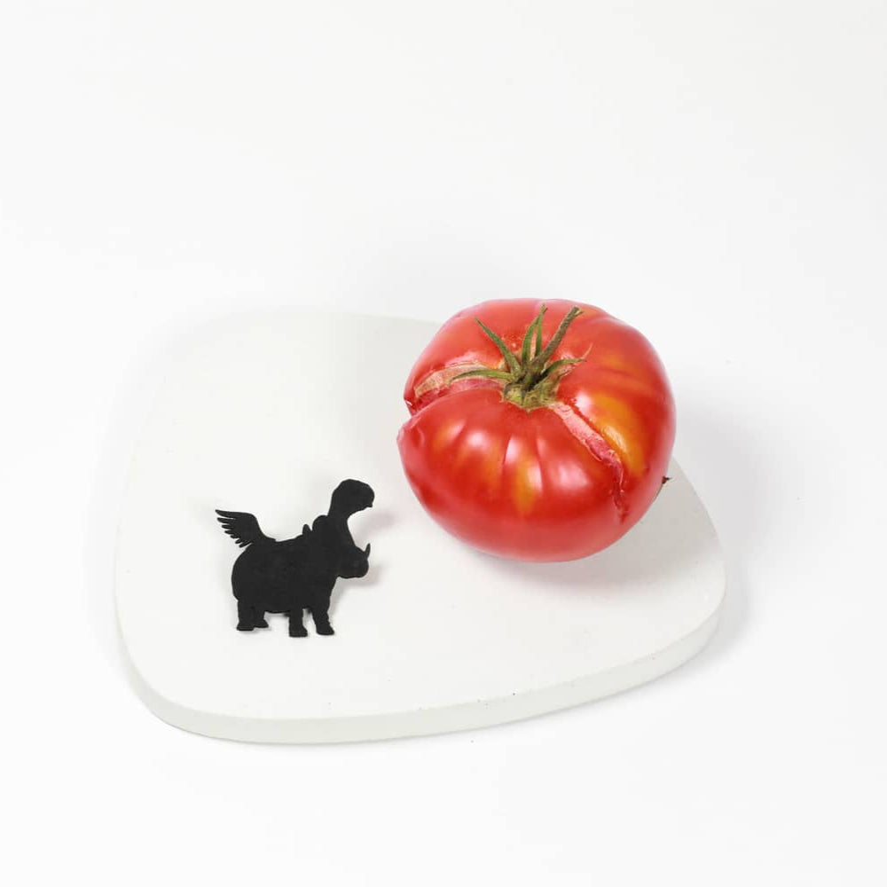 BROCHE_HIPPO_TOMATES.jpg