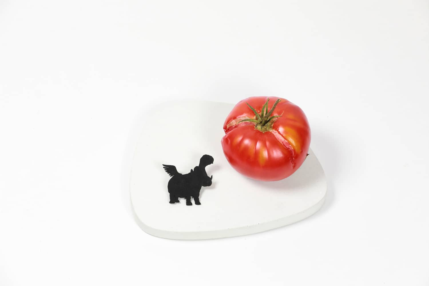 BROCHE_HIPPO_TOMATES.jpg